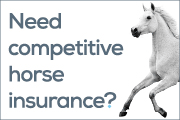 Get a Horsebox Insurance Quote
